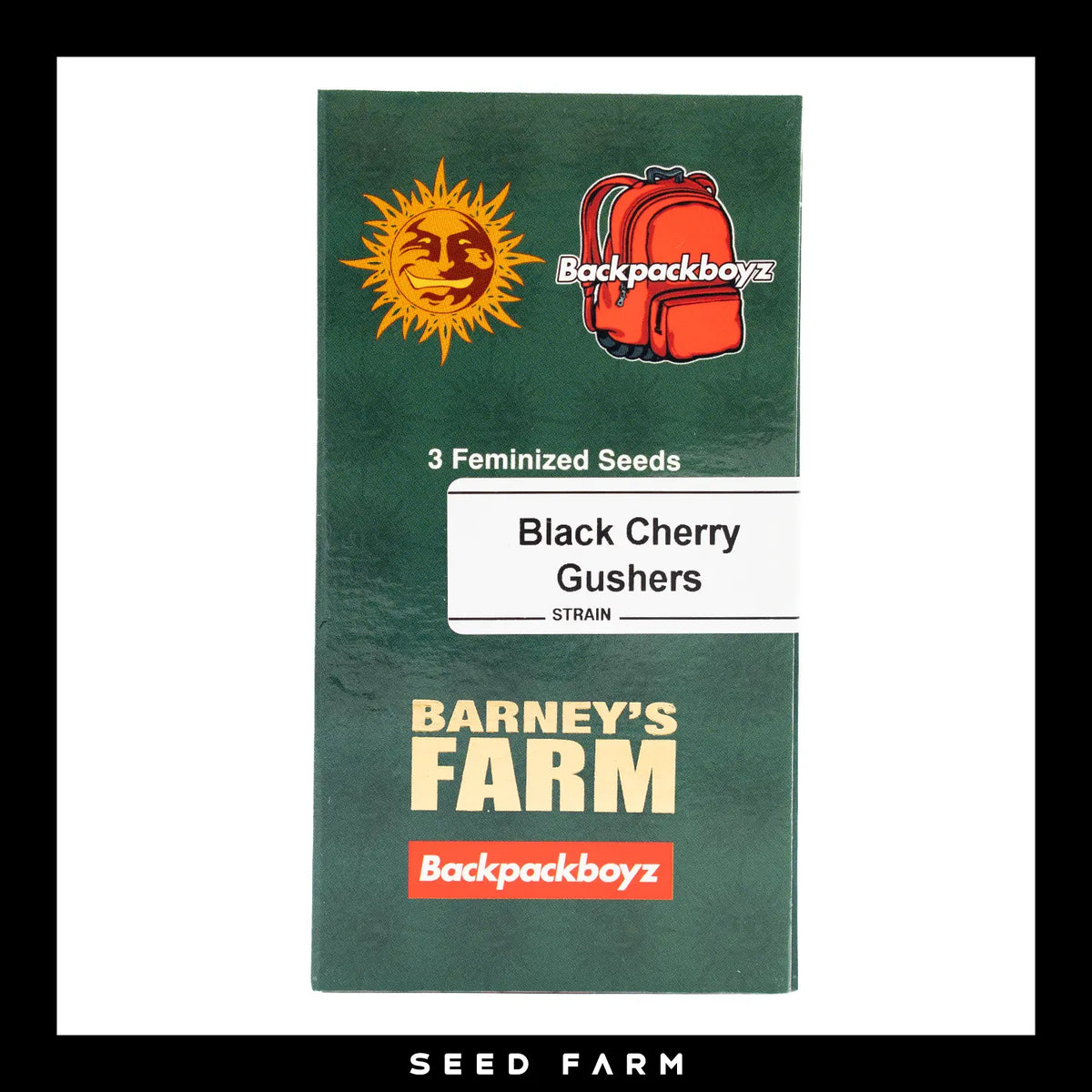 Barney's Farm x Backpackboyz, Black Cherry Gushes, feminisierte Cannabis Samen, 3 Stück, Vorderansicht
