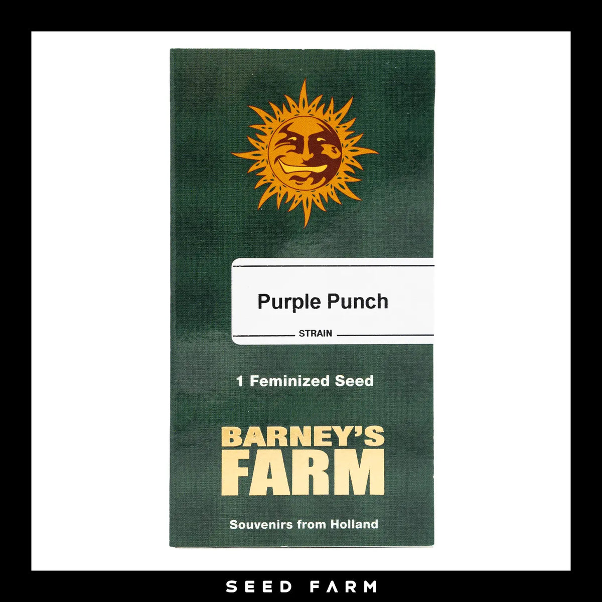 Barneys Farm, Purple Punch, feminisierte Cannabis Samen, Vorderansicht