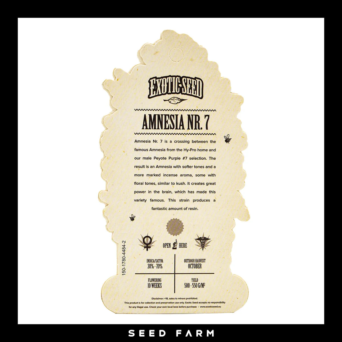 Exotic Seed Amnesia Nr. 7, feminisierte Cannabis Samen, Rückansicht