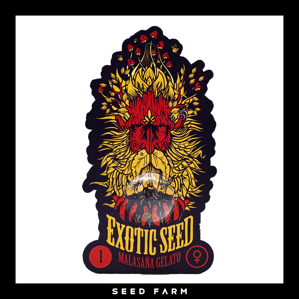 Exotic Seed Malasana Gelato, feminisierte Cannabis Samen, Vorderansicht