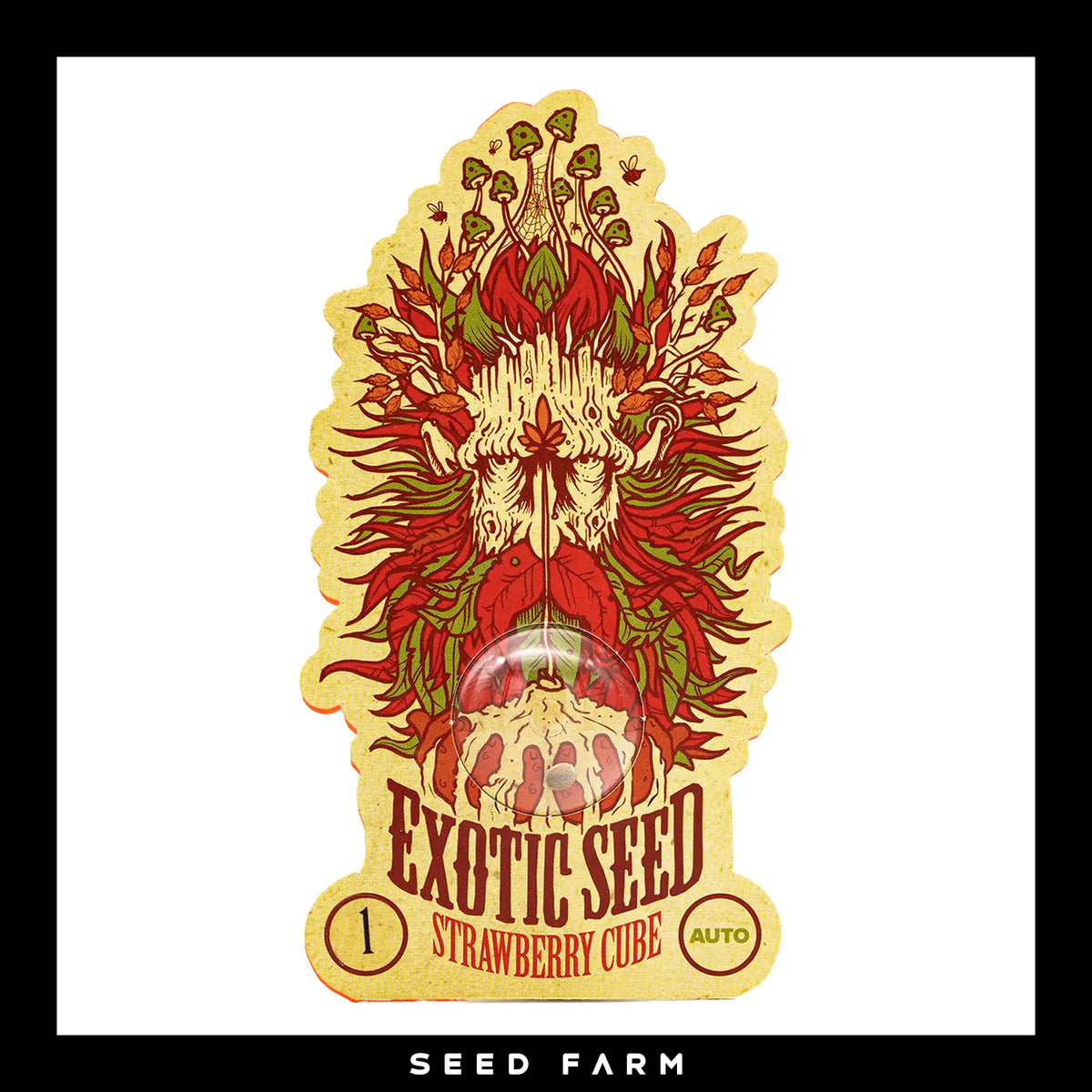 Exotic Seed Strawberry Cube, automatic Cannabis Samen, Vorderansicht