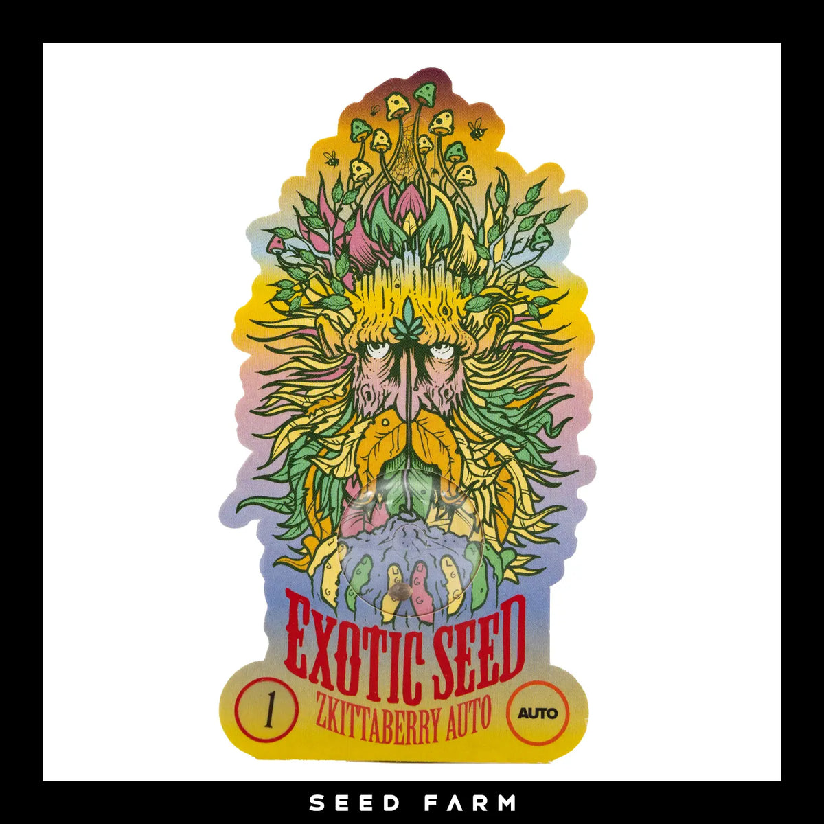 Exotic Seed, Zkittaberry, automatische Cannabis Samen, 1 Stück, Vorderansicht