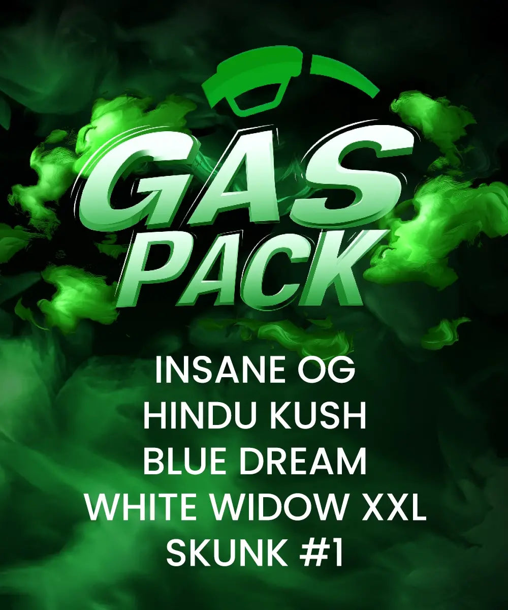 Barney's Farm - GAS PACK - Feminized - 10 Seeds