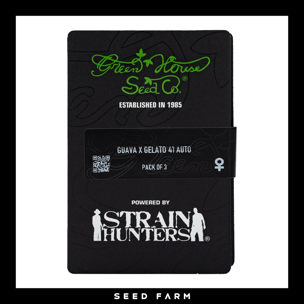Green House Seed Company, Guava x Gelato 41, automatic Cannabis Samen, 3 Stück, Vorderansicht