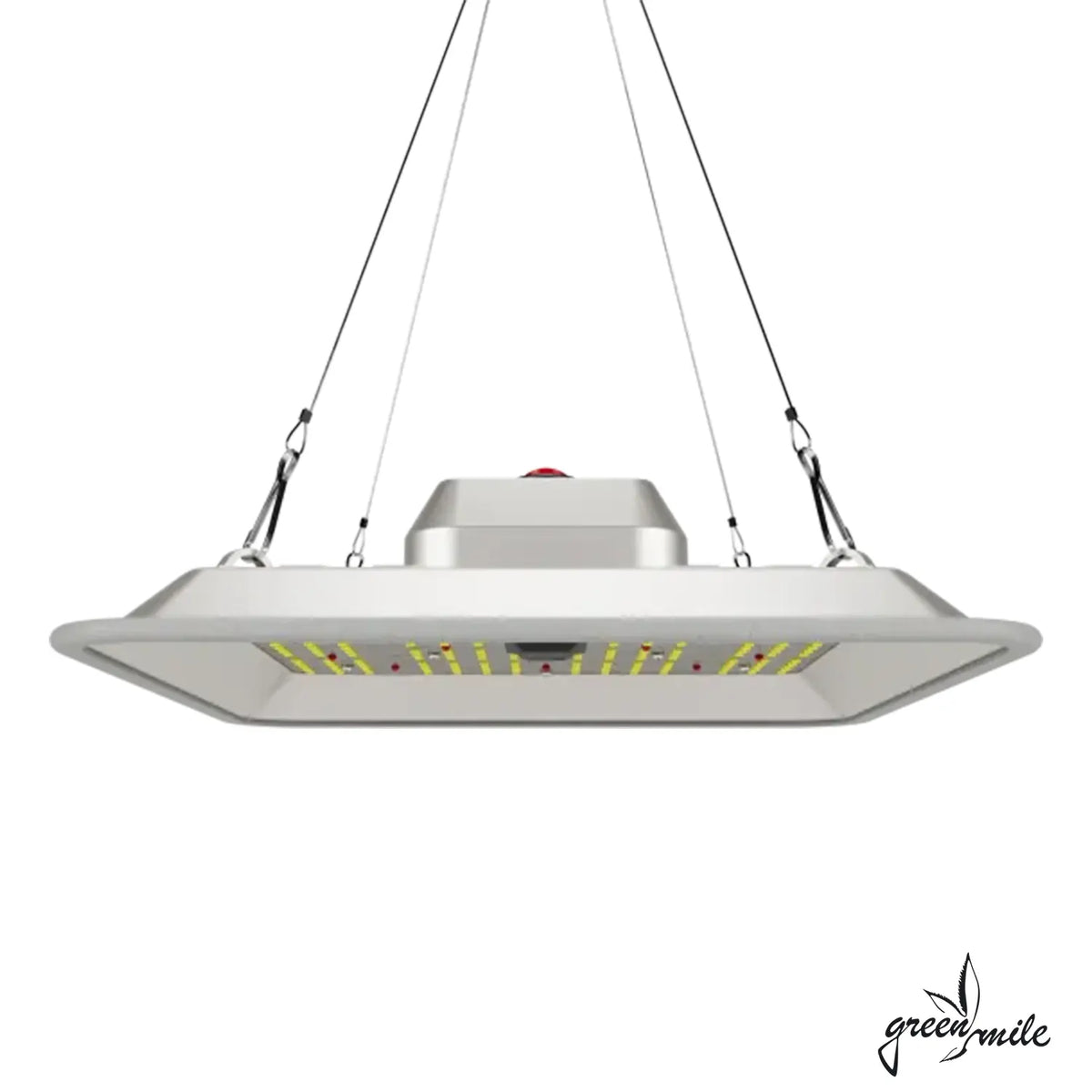 Greenception, GC Pure, 80Watt, Vorderansicht