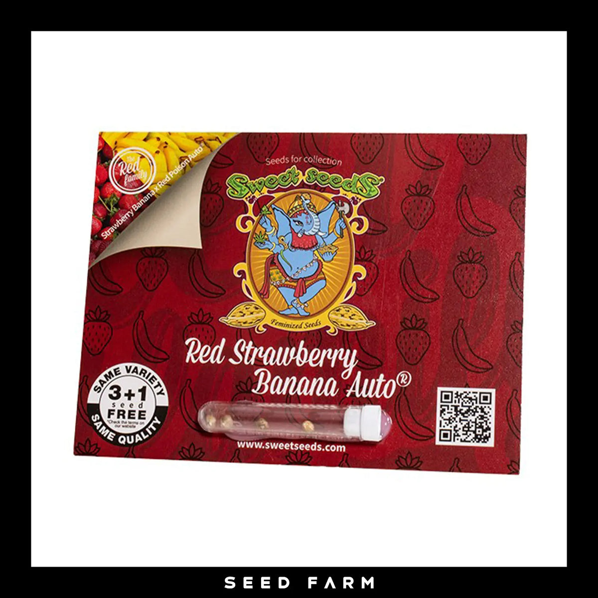 Sweet Seeds, Red Strawberry Banana, automatische Cannabis Samen, 3+1 Seed, Vorderansicht