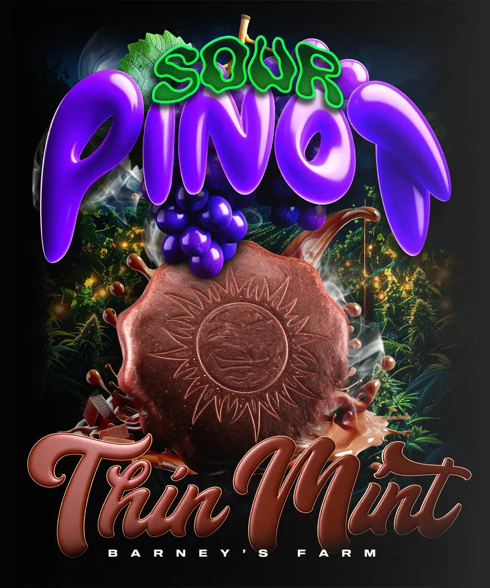 Barney's Farm - THIN MINT X SOUR PINOT - Automatic
