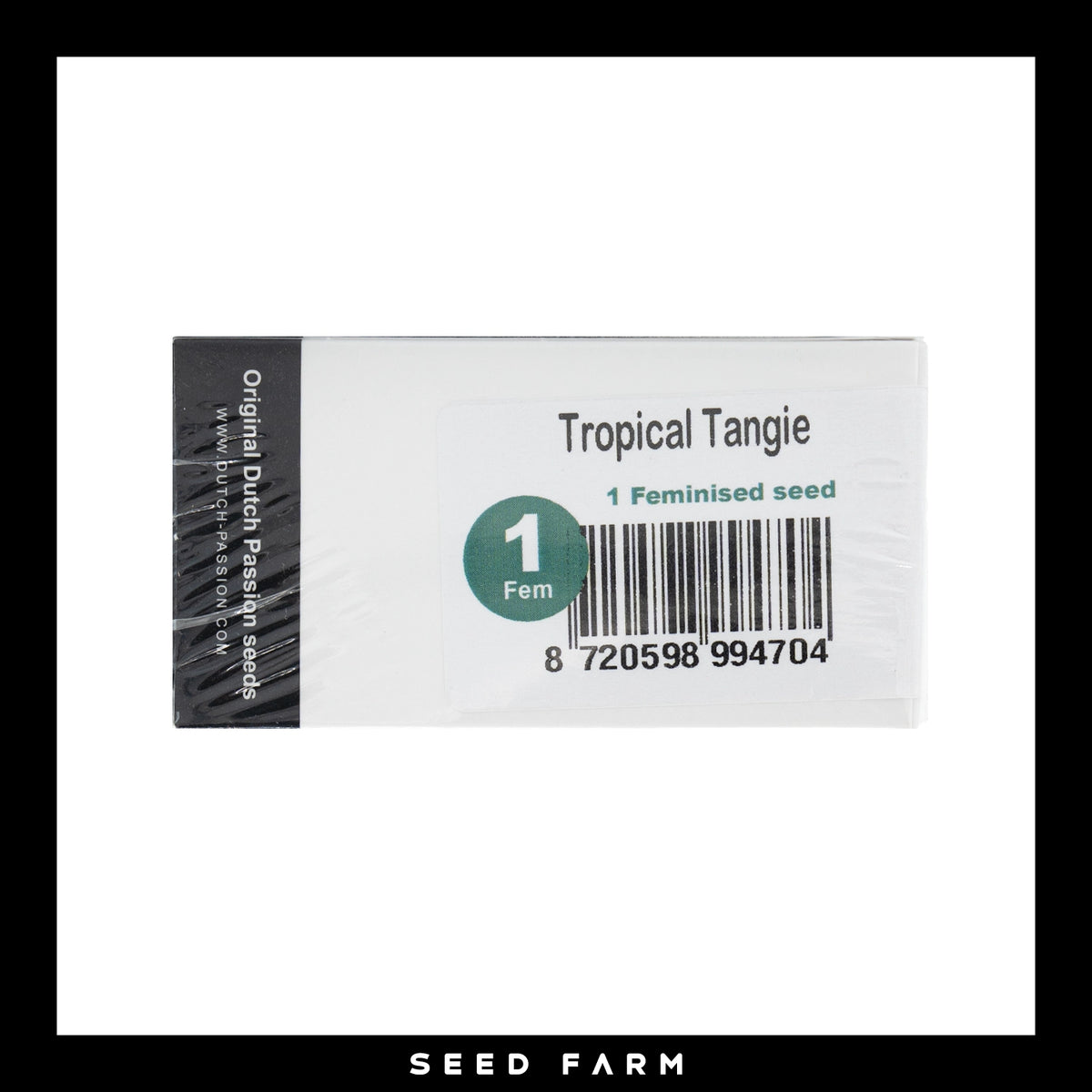 Dutch Passion, Tropical Tangie, feminisierte Cannabis Samen, 1 Stück, Vorderansicht