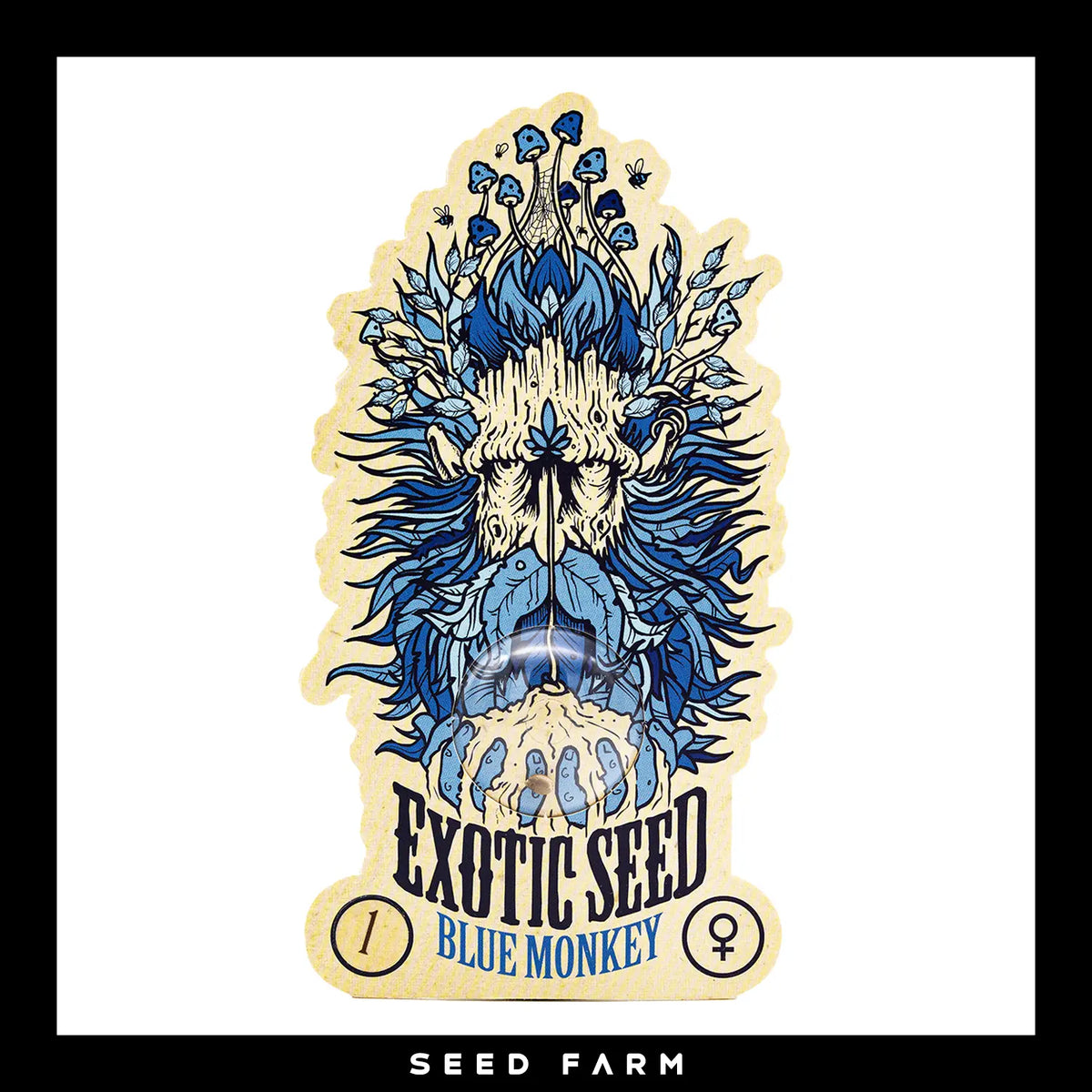 Exotic Seed Blue Monkey, feminisierte Cannabis Samen, Vorderansicht