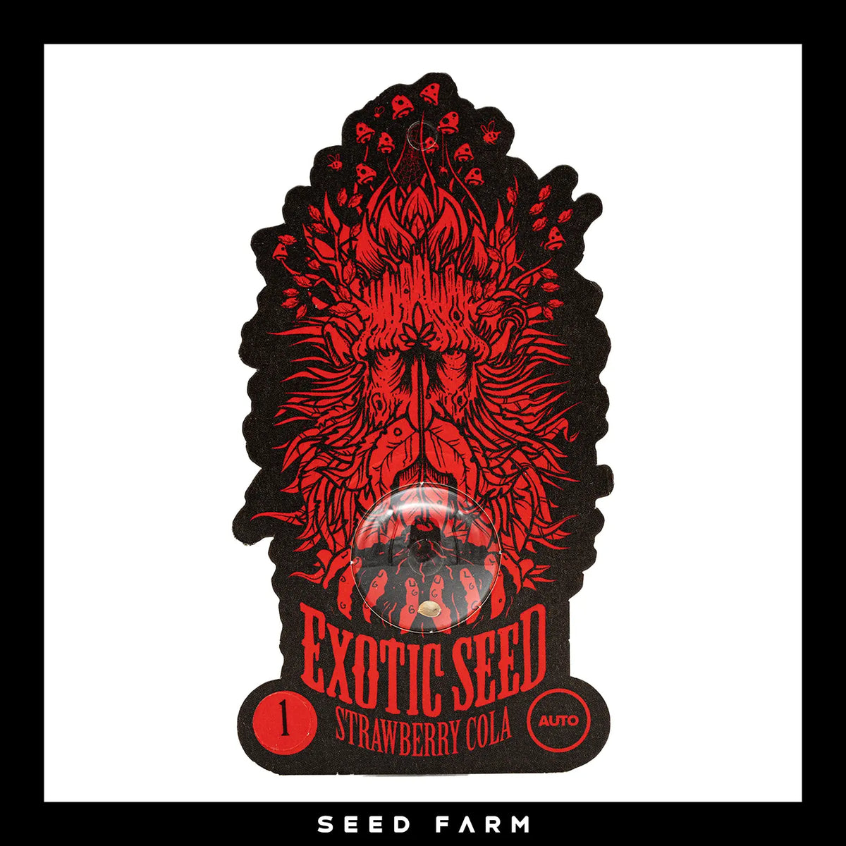 Exotic Seed Strawberry Cola, automatic Cannabis Samen, Vorderansicht