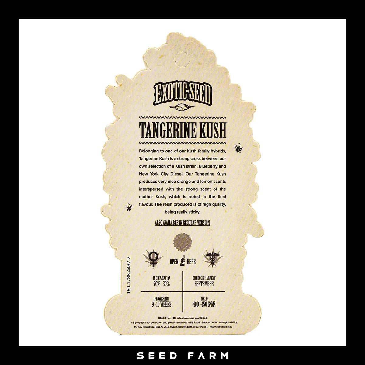 Exotic Seed Tangerine Kush, feminisierte Cannabis Samen, Rückansicht