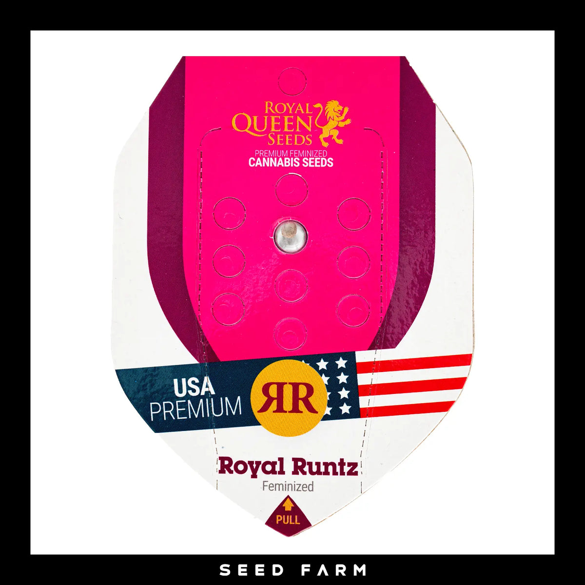 Royal Queen Seeds Royal Runtz, feminisierte Cannabis Samen, 1 Stück, Vorderansicht