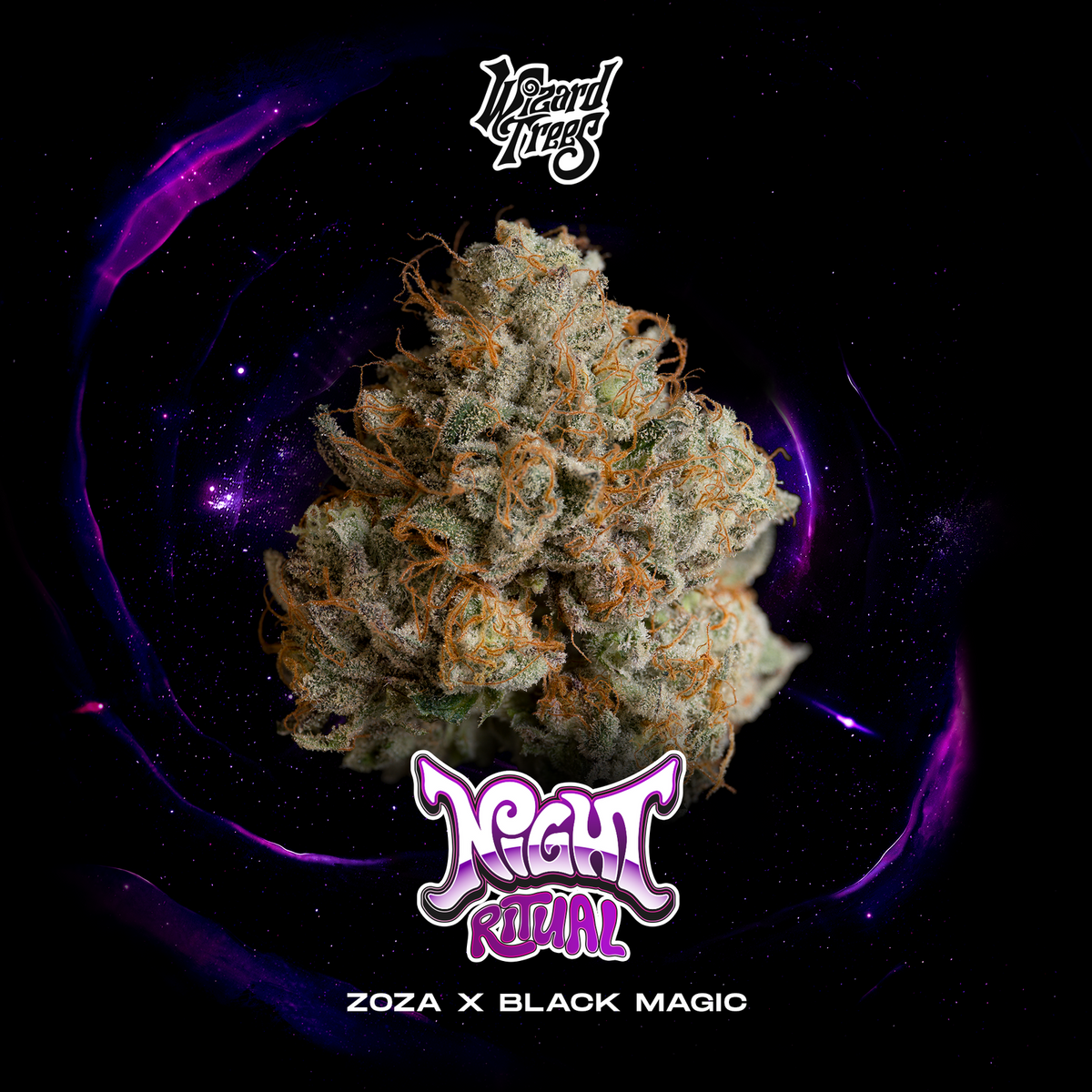 Wizard Trees - NIGHT RITUAL - Feminized