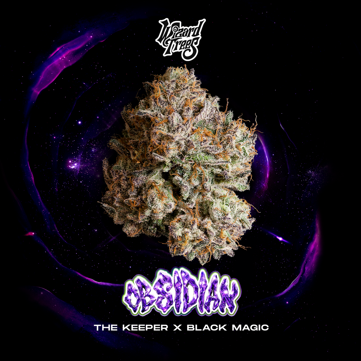 Wizard Trees - OBSIDIAN - Feminized